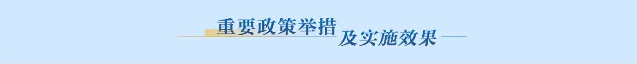 重要政策舉措及實施效果